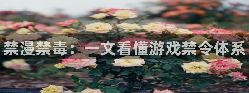 漫蛙画涯：禁漫禁毒：一文看懂游戏禁令体系