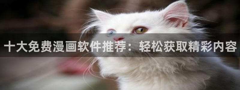 蛙漫漫画免费下载：十大免费漫画软件推荐：轻松获取精彩内容