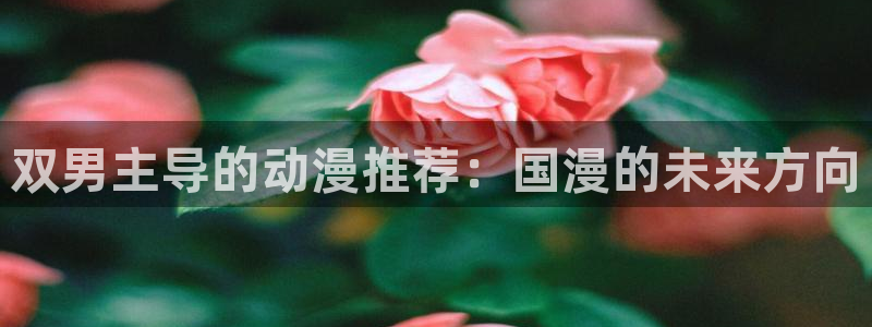 漫蛙网页怎么登录：双男主导的动漫推荐：国漫的未来方向