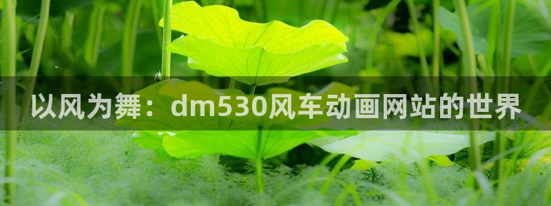 漫蛙漫画最新官网版：以风为舞：dm530风车动画网站的世界