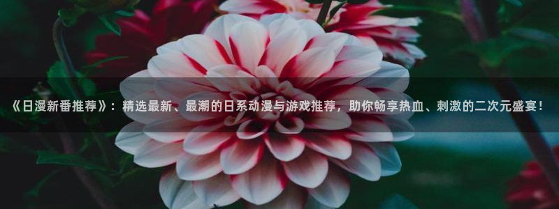 漫蛙manwa2正版免费下载：《日漫新番推荐》：精选最新、最潮的日系动漫与游戏推荐，助你畅享热血、刺激的二次元盛宴！