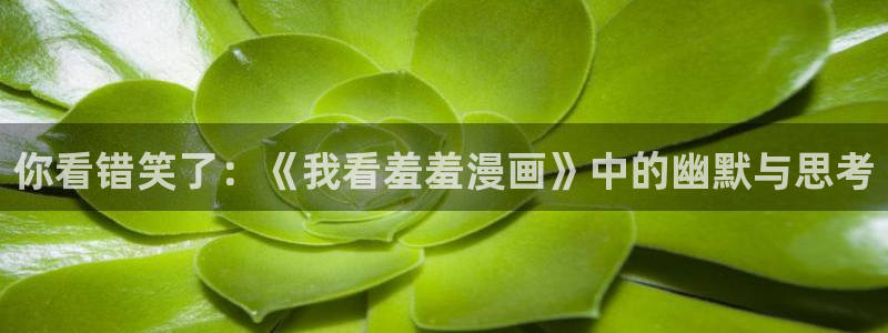 mawan漫蛙：你看错笑了：《我看羞羞漫画》中的幽默与思考