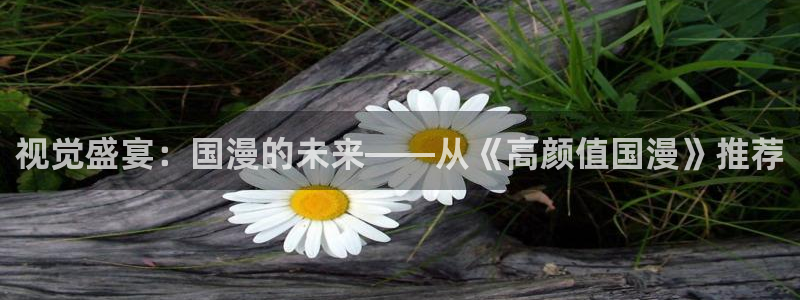 漫蛙2(官网入口)：视觉盛宴：国漫的未来——从《高颜值国漫》推荐