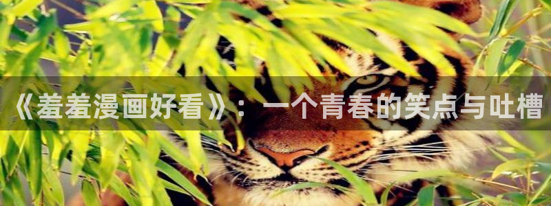 漫蛙如何注册：《羞羞漫画好看》：一个青春的笑点与吐槽