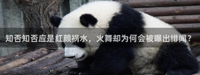 漫蛙魔咒免费观看完整漫画：知否知否应是红颜祸水，火舞却为何会被曝出绯闻？