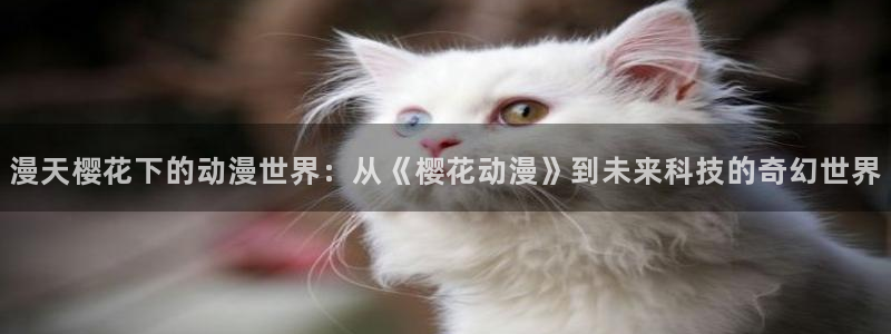 蛙漫入口：漫天樱花下的动漫世界：从《樱花动漫》到未来科技的奇幻世界