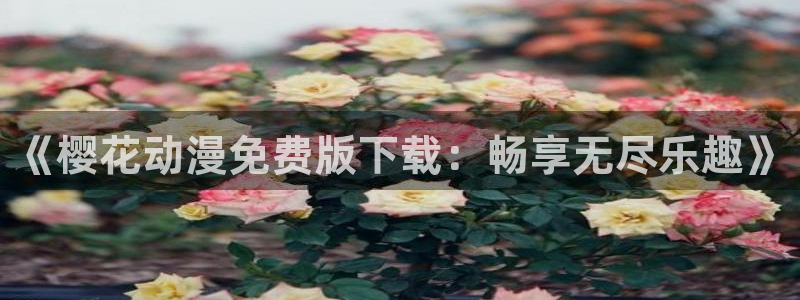 漫漫看漫蛙：《樱花动漫免费版下载：畅享无尽乐趣》