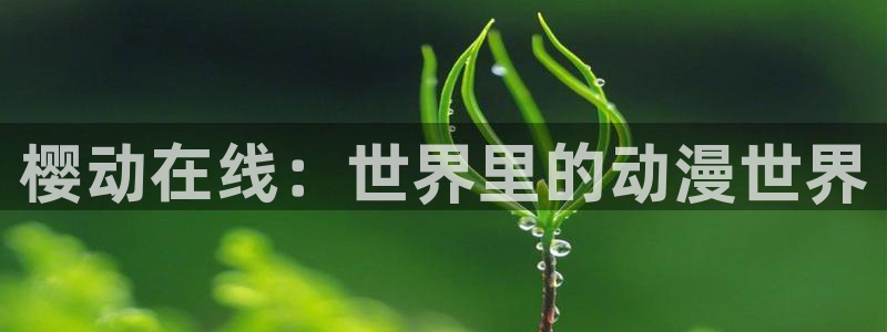 漫蛙manwa网页：樱动在线：世界里的动漫世界