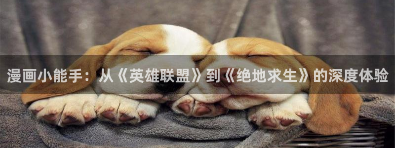 漫蛙2台版官网链接入口：漫画小能手：从《英雄联盟》到《绝地求生》的深度体验
