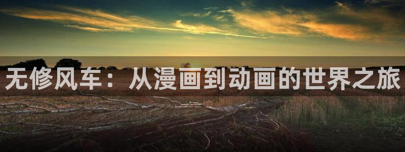 漫蛙影吧：无修风车：从漫画到动画的世界之旅