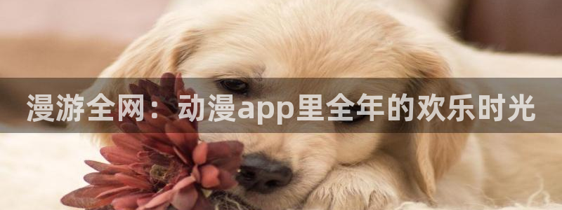 www.漫蛙漫画,top：漫游全网：动漫app里全年的欢乐时光