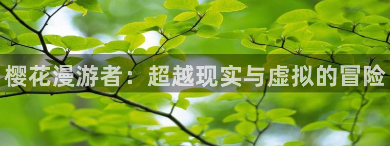 漫蛙manwa正版下载入口：樱花漫游者：超越现实与虚拟的冒险