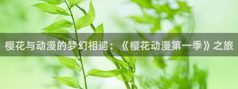 蛙漫官网下载：樱花与动漫的梦幻相遇：《樱花动漫第一季》之旅