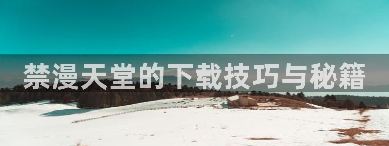 漫蛙2app免费下载安装：禁漫天堂的下载技巧与秘籍