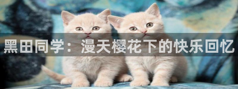 colossal漫蛙：黑田同学：漫天樱花下的快乐回忆