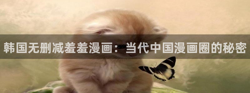 漫蛙2旧版本：韩国无删减羞羞漫画：当代中国漫画圈的秘密