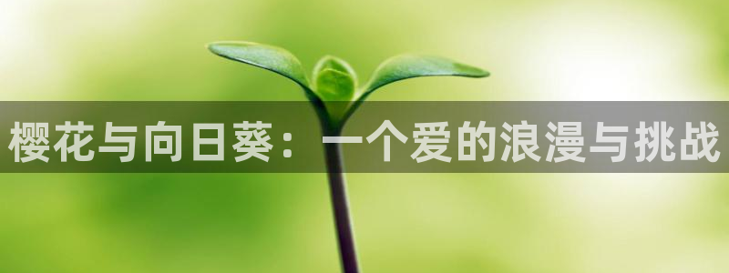 漫蛙https://manwa.site：樱花与向日葵：一个爱的浪漫与挑战