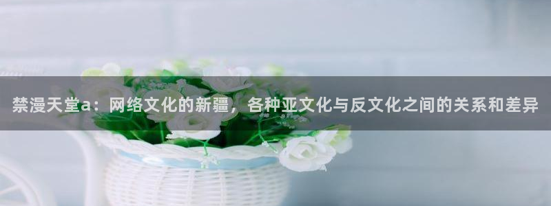 漫蛙666：禁漫天堂a：网络文化的新疆，各种亚文化与反文化之间的关系和差异