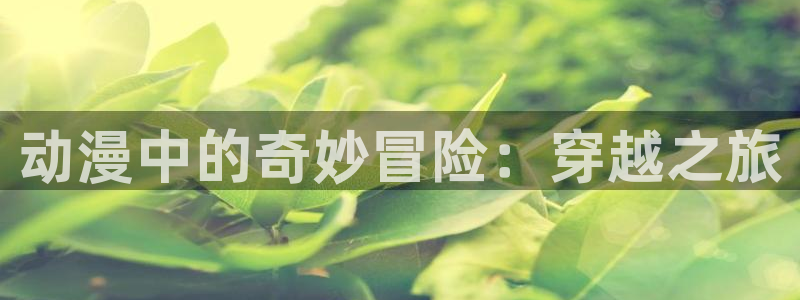 大陆地区2:漫蛙网页版备用：动漫中的奇妙冒险：穿越之旅