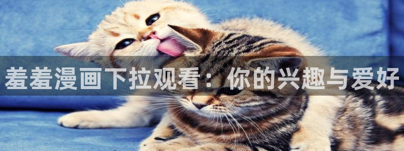 www.漫蛙漫画. com：羞羞漫画下拉观看：你的兴趣与爱好