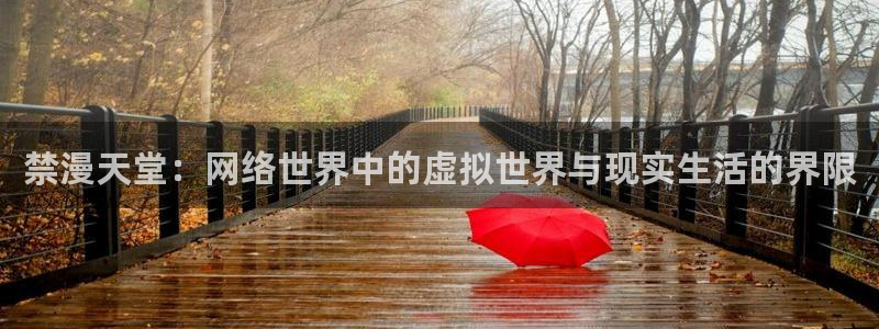 漫蛙平台：禁漫天堂：网络世界中的虚拟世界与现实生活的界限