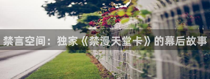 漫蛙ipa：禁言空间：独家《禁漫天堂卡》的幕后故事