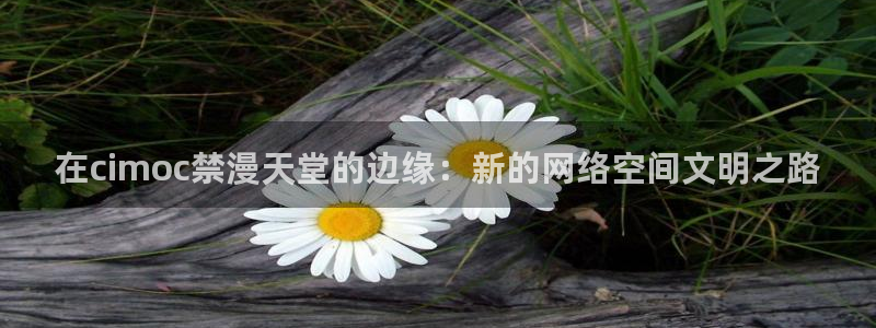 最新蛙漫漫画app下载：在cimoc禁漫天堂的边缘：新的网络空间文明之路